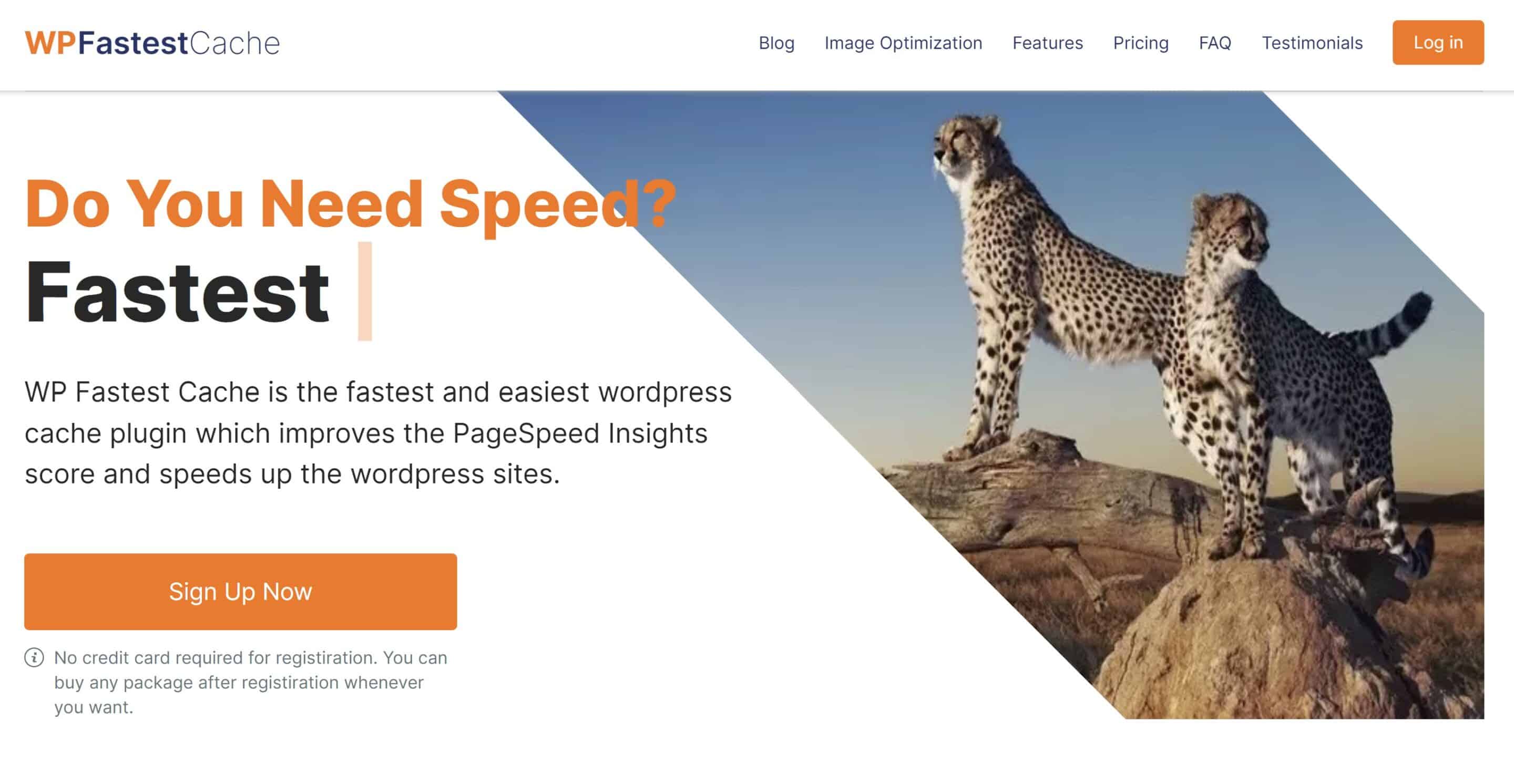 wpfastestcache-plugin-wordpress-performance-site